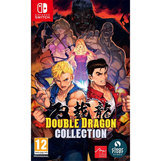 NINTENDO GAMES Switch Double Dragon Collection