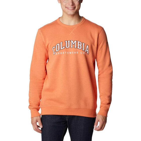 COLUMBIA Logo Crew sweatshirt