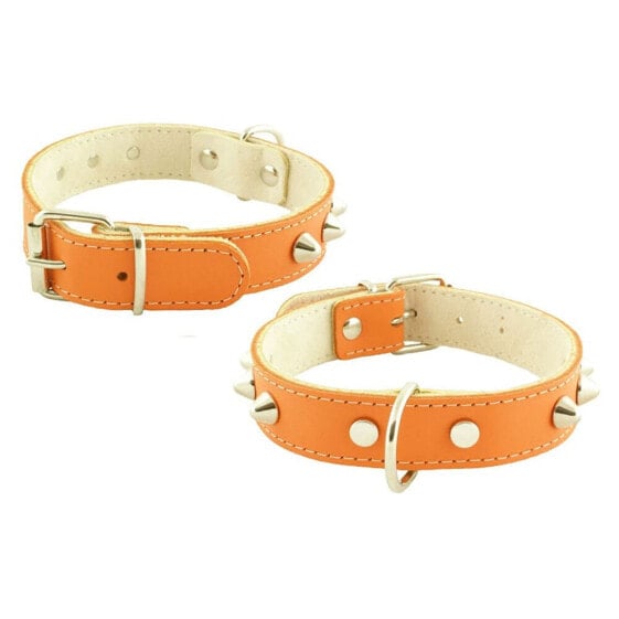 YOUPET Mountain Co1F 50x2.5 cm Dog Collar