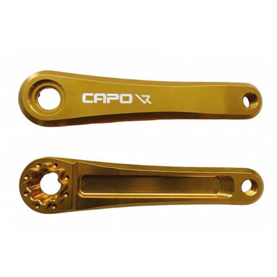 LEONARDI RACING Capo 8 crank