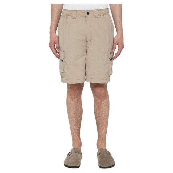 DICKIES Jackson cargo shorts