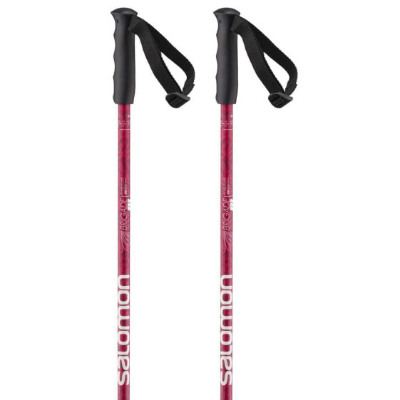 SALOMON Brigade Poles