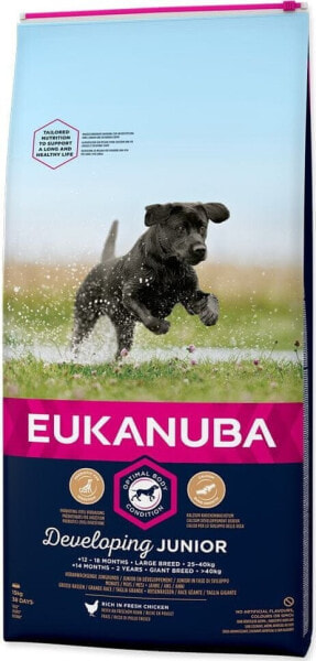 EUKANUBA Eukanuba EUK Junior Large Breed Chicken 12KG