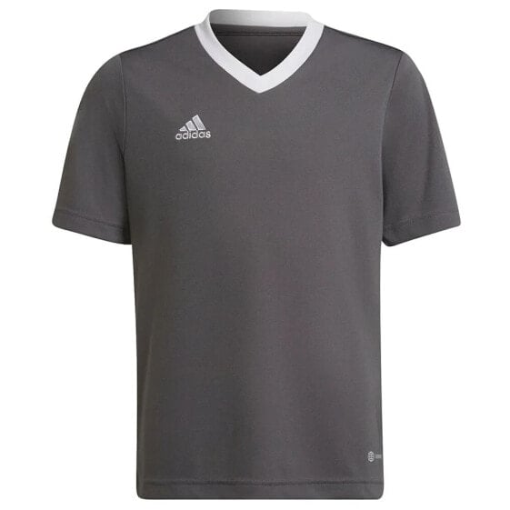 ADIDAS Entrada 22 short sleeve T-shirt