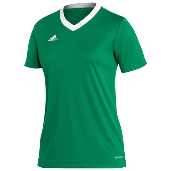 Футболка мужская Adidas Entrada 22 Short Sleeve T-Shirt