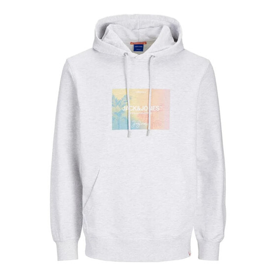 JACK & JONES Aruba Sunset Branding hoodie