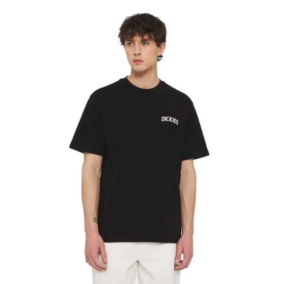 DICKIES Elliston short sleeve T-shirt