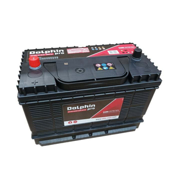 DOLPHIN CHARGER 108A 12V Battery