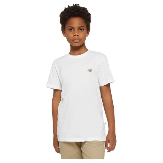 DICKIES Mapleton short sleeve T-shirt