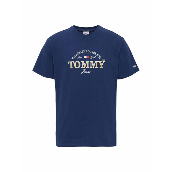 Футболка мужская Tommy Hilfiger DM0DM14998C87