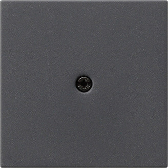 GIRA 027428 - Anthracite - Conventional - 1 pc(s)
