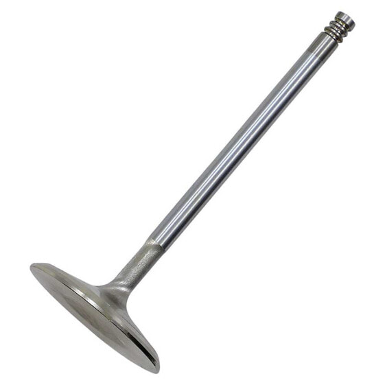 KIBBLEWHITE 20-21061H Intake Valve