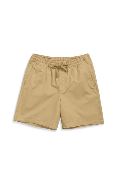 Шорты мужские Vans Mn Range Relaxed Elastıc Short