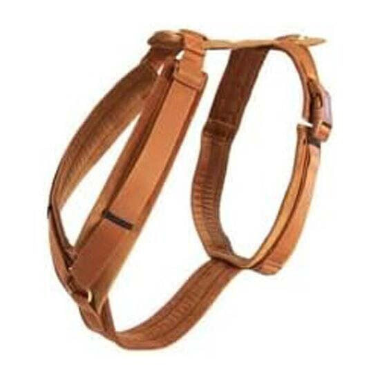 KENTUCKY Active Velvet Harness