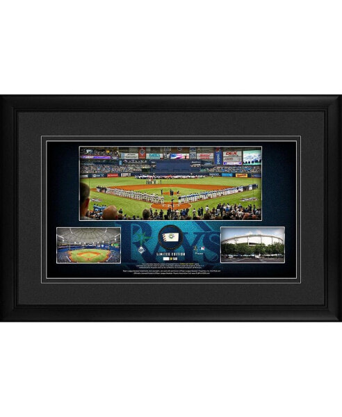 Tampa Bay Rays Framed 10" x 18" Stadium Panoramic Collage with a Piece of Game-Used Baseball - Limited Edition of 500