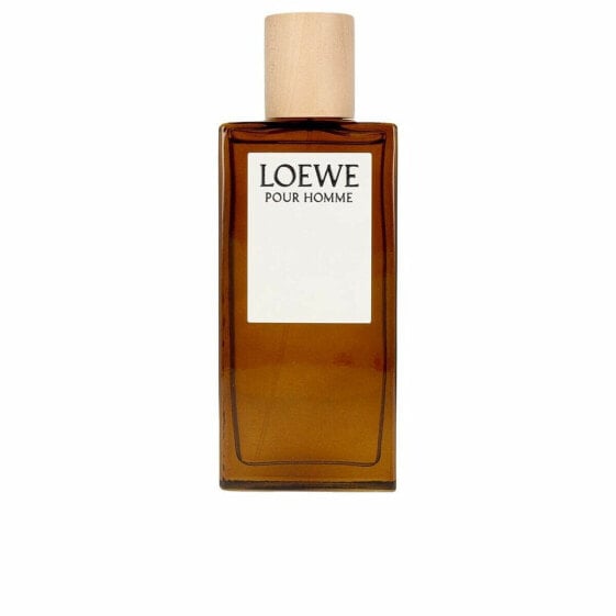 Мужская парфюмерия Loewe LOEWE POUR HOMME EDT 100 ml