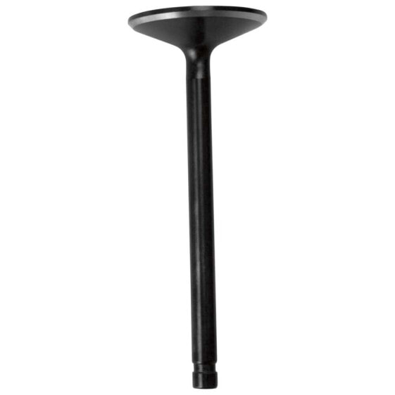 KIBBLEWHITE 20-2010 Intake Valve