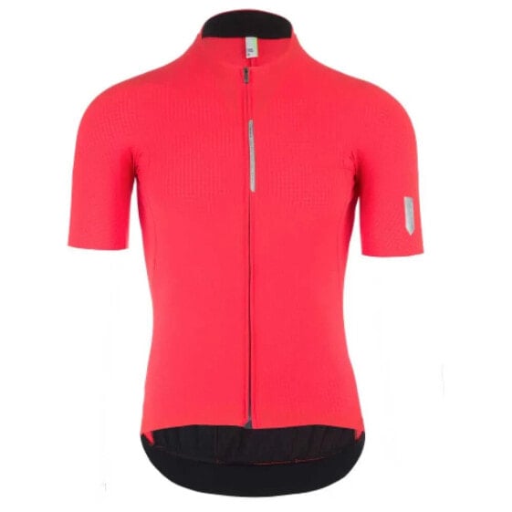 Q36.5 Pinstripe PRO short sleeve jersey