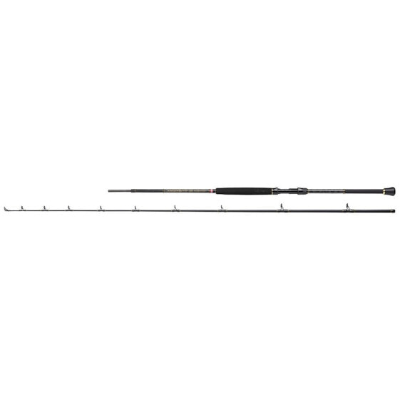 PENN Regiment III Boat Braid Spinning Rod