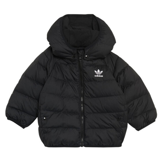 ADIDAS ORIGINALS Adicolor Down jacket