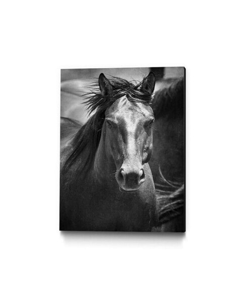 14" x 11" Stallion III Museum Mounted Canvas Print