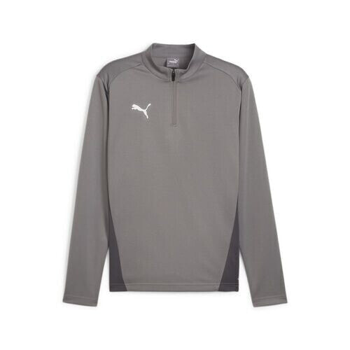 Puma Teamgoal Training 1/4 Zip - Cast Iron-puma White-shadow Gr