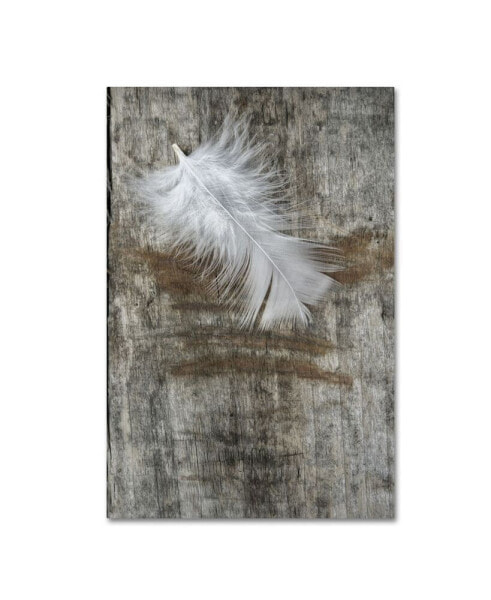 Cora Niele 'White Feather on Wood' Canvas Art - 19" x 12" x 2"