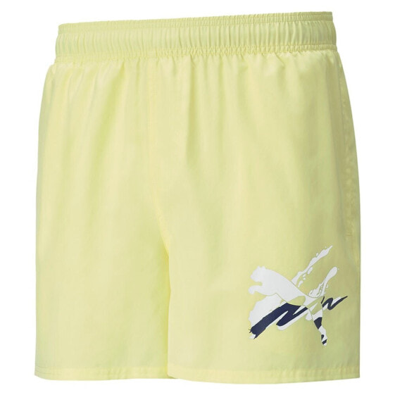 PUMA Essential+ Summer Graphic shorts