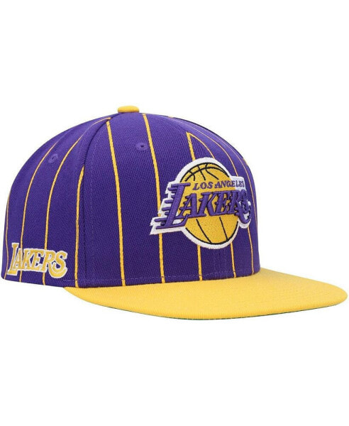 Men's Purple, Gold Los Angeles Lakers Hardwood Classics Pinstripe Snapback Hat