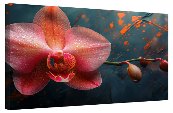 Bild Orchidee Blumen VI