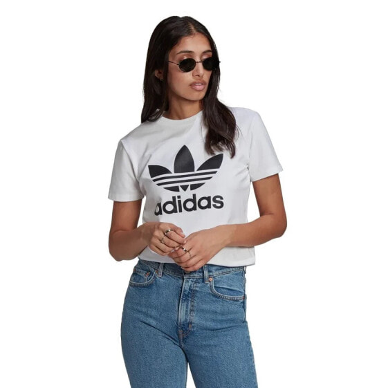 ADIDAS ORIGINALS Adicolor Trefoil short sleeve T-shirt