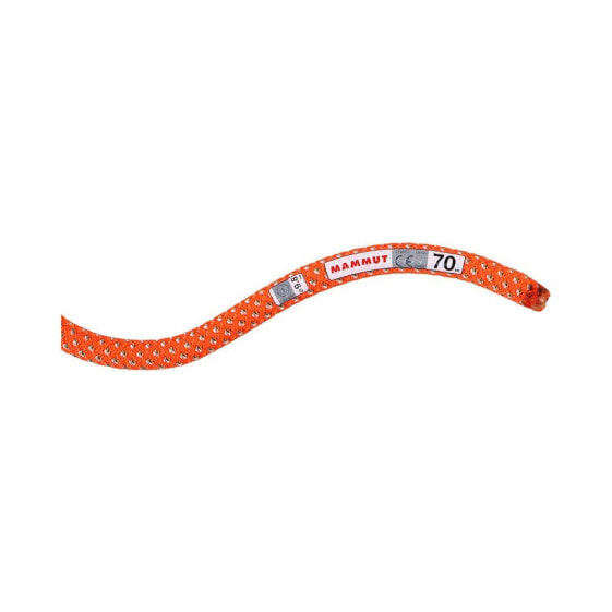 MAMMUT Crag Classic 9.8 mm Rope