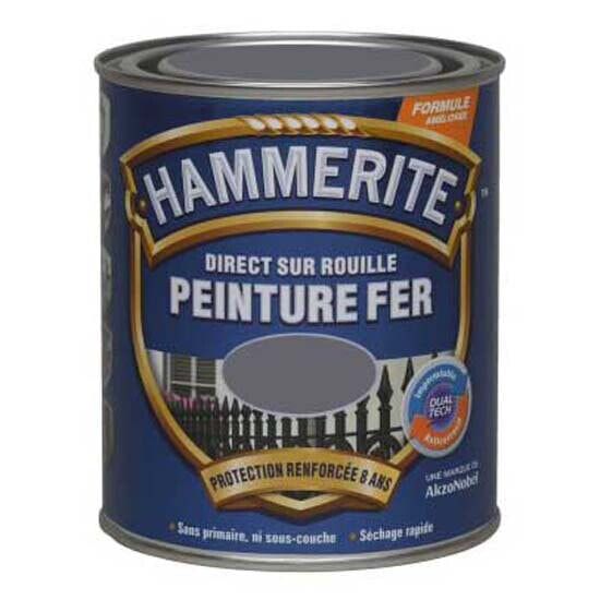 HAMMERITE 250ml Glossy Lacquered Painting