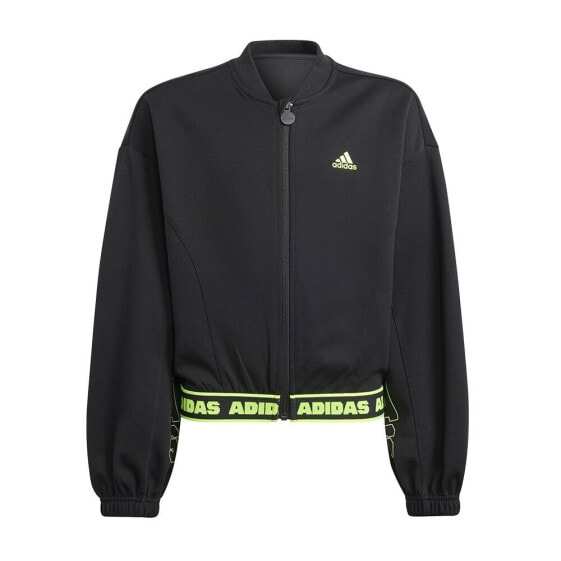 Adidas D Crop Bomber