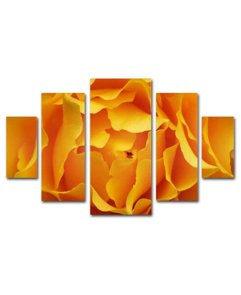 Kurt Shaffer 'Hypnotic Yellow Rose' Multi Panel Canvas Set - 40" x 58"
