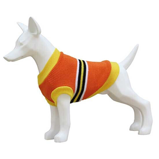 FREEDOG Stripes Sweater