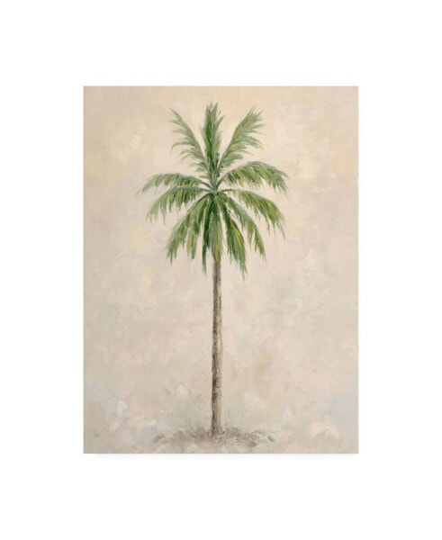 Debra Lake Palm Tree 1 Canvas Art - 19.5" x 26"