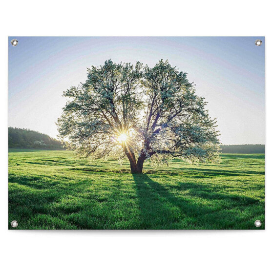 Kunstdruck Baum in der Morgensonne