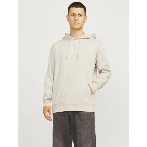 JACK & JONES Bluarchie hoodie