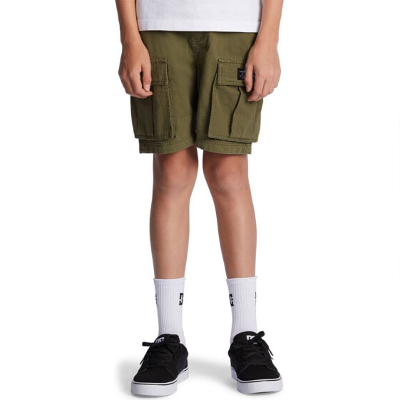 DC SHOES Tundra Shorts