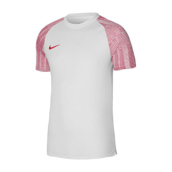 Футболка Nike Drifit Academy