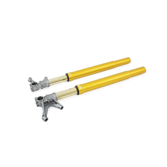 ÖHLINS FGR250 front fork