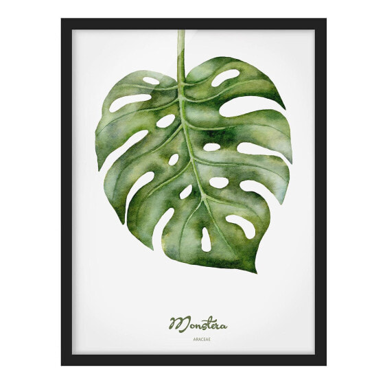 Bild Aquarell Botanik Monstera