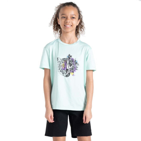 DARE2B Trailblazer II short sleeve T-shirt