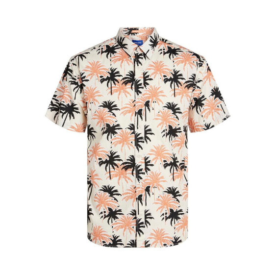 JACK & JONES Joshua Aruba Aop short sleeve shirt