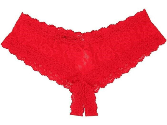 Hanky Panky Women's 245545 Luxe Lace Crotchless Briefs Underwear Size S