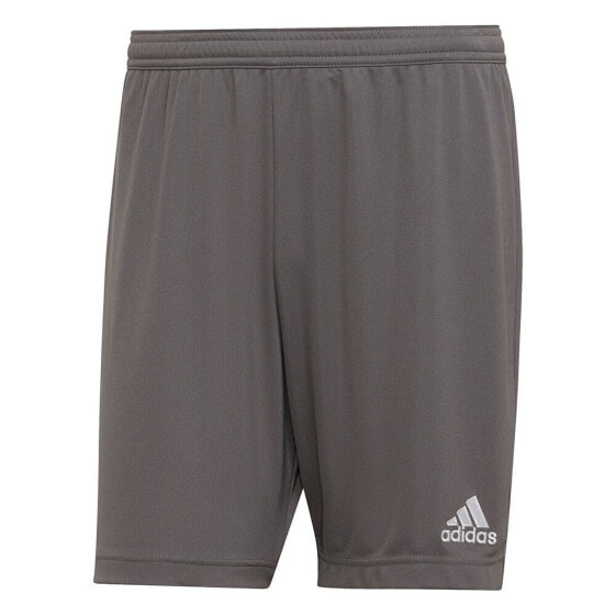 Спортивные шорты Adidas Entrada 22