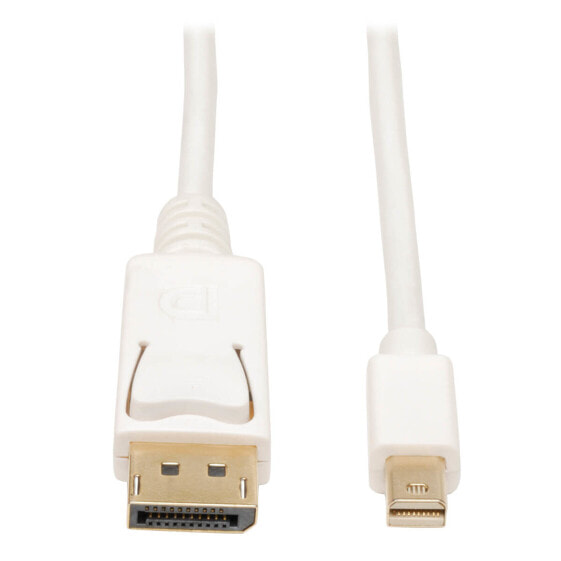 Tripp P583-006 Mini DisplayPort to DisplayPort Adapter Cable - 4K 60Hz (M/M) - DP Latching Connector - White - 6 ft. (1.8 m) - 1.8 m - DisplayPort - mini DisplayPort - Male - Male - 2560 x 1600 pixels