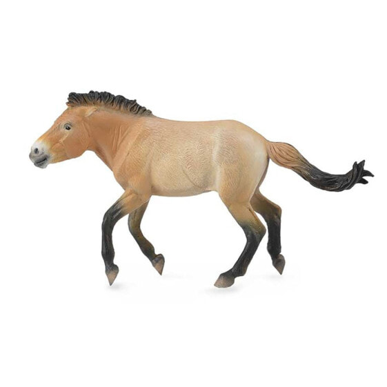 COLLECTA Stallion Przewalski Figure