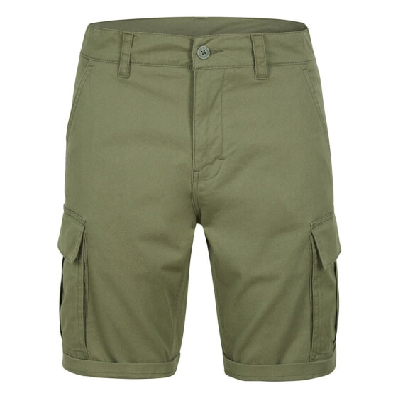 O´NEILL Park cargo shorts